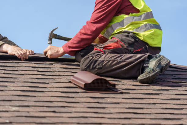 Best Local Roofing Companies  in Wilson, AR