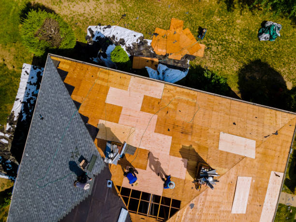 Best Emergency Roof Repair  in Wilson, AR