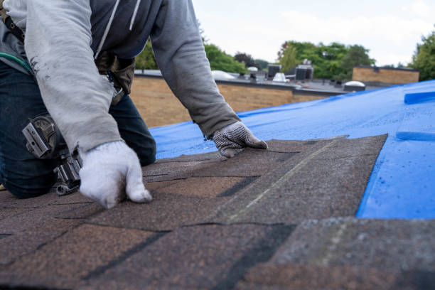 Best Storm Damage Roof Repair  in Wilson, AR
