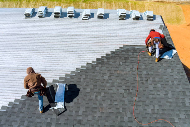 Best Shingle Roofing Installation  in Wilson, AR
