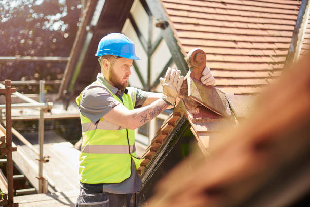 Best Commercial Roofing Services  in Wilson, AR